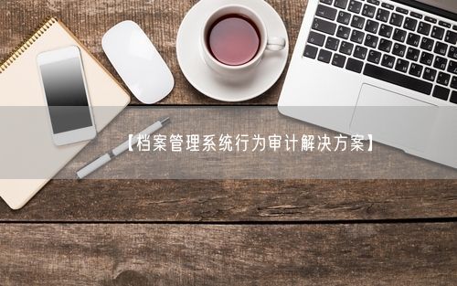 【档案管理系统行为审计解决方案】