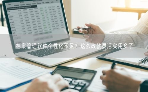 档案管理软件个性化不足？这么改就灵活实用多了
