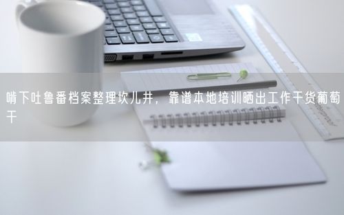 啃下吐鲁番档案整理坎儿井，靠谱本地培训晒出工作干货葡萄干