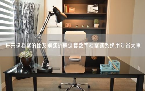 丹东搞档案的朋友别瞎折腾这套数字档案馆系统用对省大事
