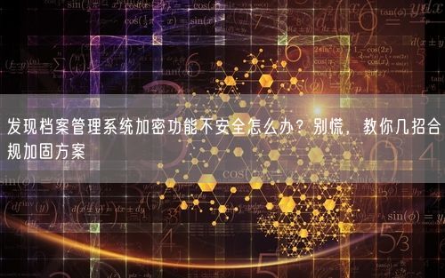 发现档案管理系统加密功能不安全怎么办？别慌，教你几招合规加固方案