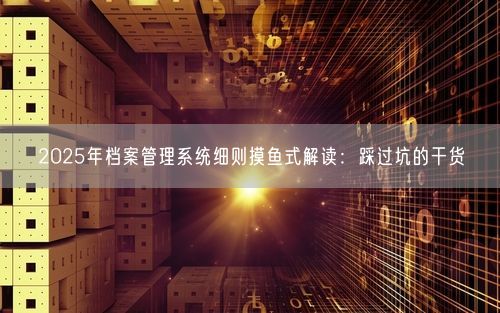 2025年档案管理系统细则摸鱼式解读：踩过坑的干货