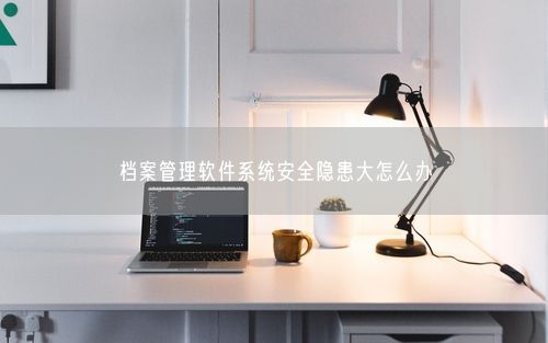 档案管理软件系统安全隐患大怎么办