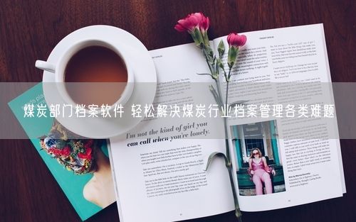 煤炭部门档案软件 轻松解决煤炭行业档案管理各类难题