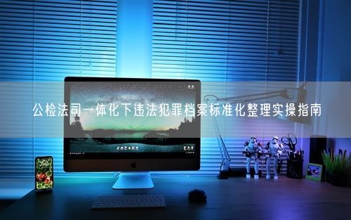 公检法司一体化下违法犯罪档案标准化整理实操指南
