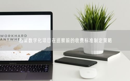 档案数字化项目在巡察前的收费标准制定策略