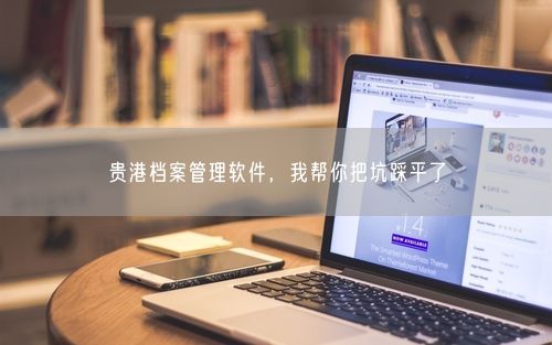贵港档案管理软件，我帮你把坑踩平了