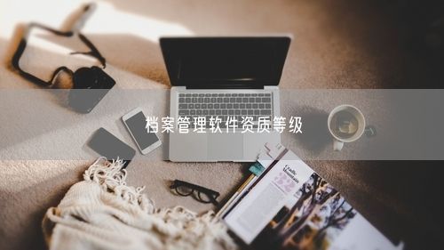 档案管理软件资质等级