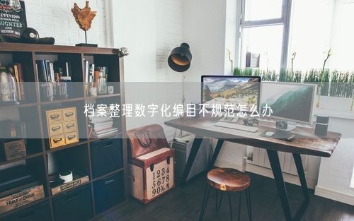 档案整理数字化编目不规范怎么办