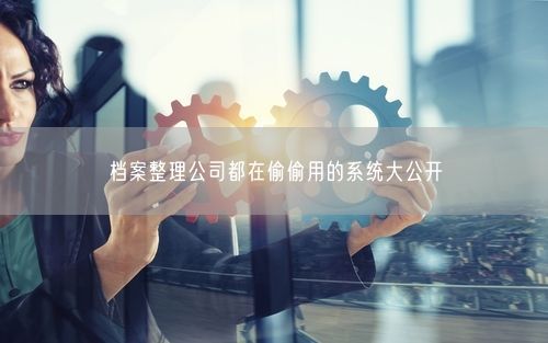 档案整理公司都在偷偷用的系统大公开