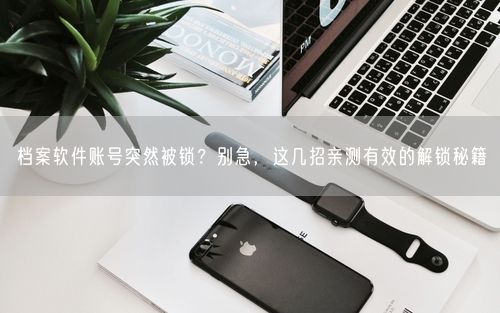 档案软件账号突然被锁？别急，这几招亲测有效的解锁秘籍