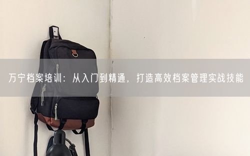 万宁档案培训：从入门到精通，打造高效档案管理实战技能