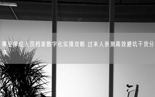 事业单位人员档案数字化实操攻略 过来人亲测高效避坑干货分享