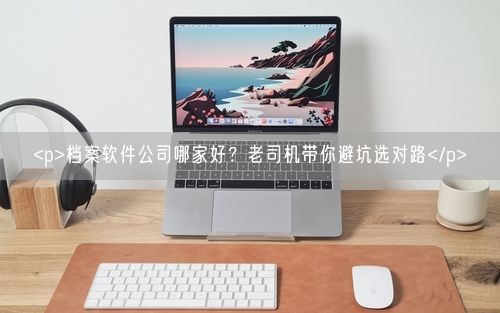 <p>档案软件公司哪家好？老司机带你避坑选对路</p>