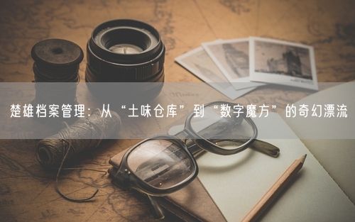 楚雄档案管理：从“土味仓库”到“数字魔方”的奇幻漂流
