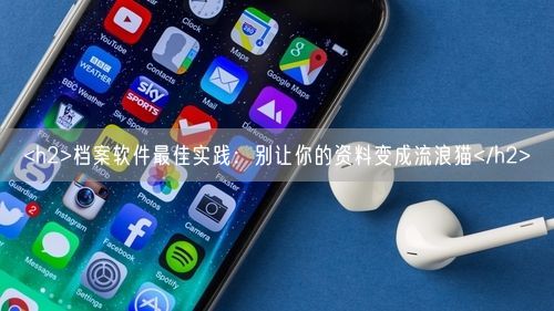 <h2>档案软件最佳实践：别让你的资料变成流浪猫</h2>