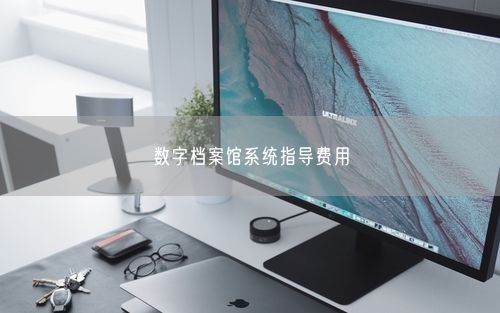 数字档案馆系统指导费用