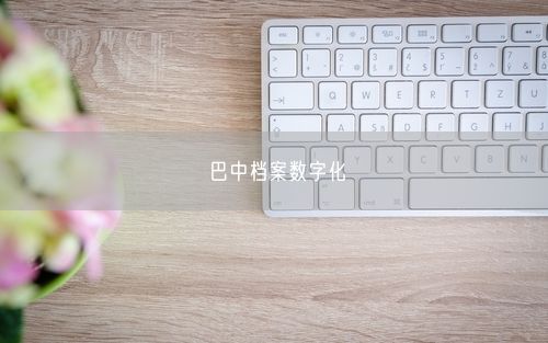 巴中档案数字化