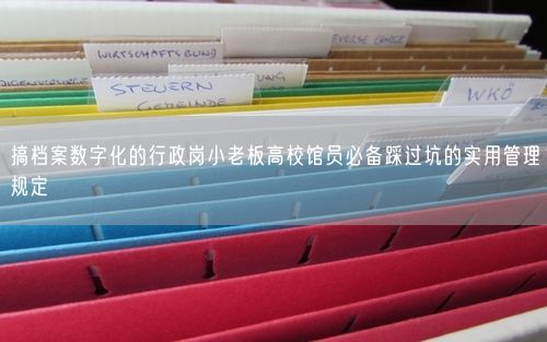 搞档案数字化的行政岗小老板高校馆员必备踩过坑的实用管理规定