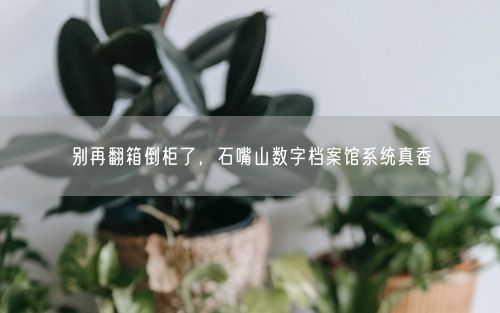 别再翻箱倒柜了，石嘴山数字档案馆系统真香