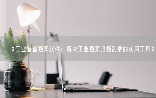 《工业普查档案软件：解决工业档案归档乱象的实用工具》
