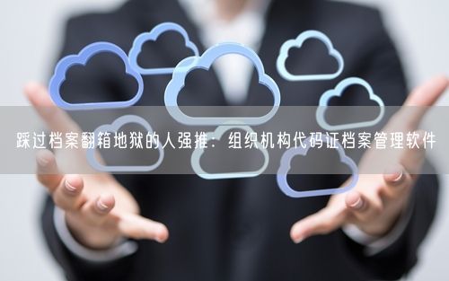 踩过档案翻箱地狱的人强推：组织机构代码证档案管理软件