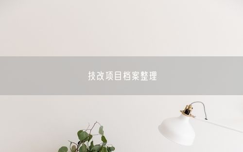 技改项目档案整理