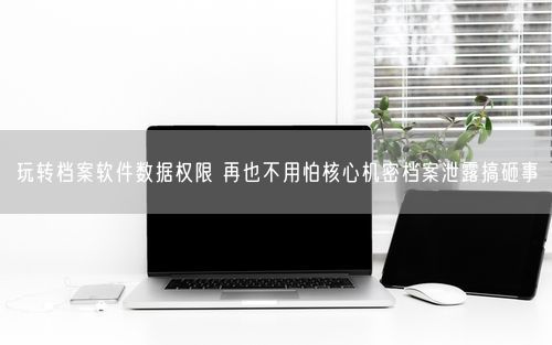 玩转档案软件数据权限 再也不用怕核心机密档案泄露搞砸事