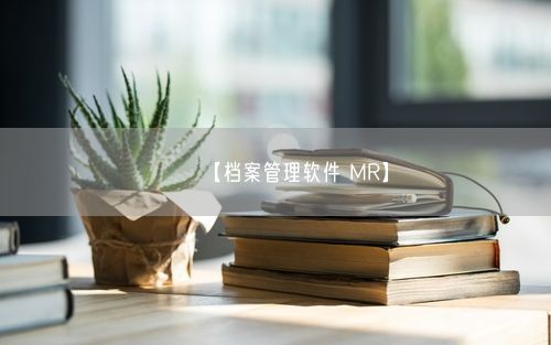 【档案管理软件 MR】