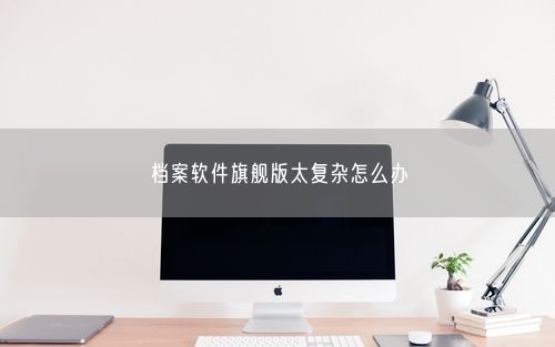 档案软件旗舰版太复杂怎么办