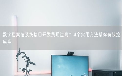 数字档案馆系统接口开发费用过高？4个实用方法帮你有效控成本