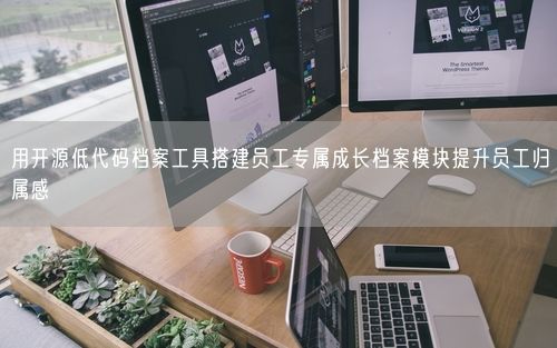 用开源低代码档案工具搭建员工专属成长档案模块提升员工归属感
