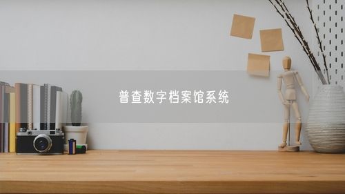 普查数字档案馆系统
