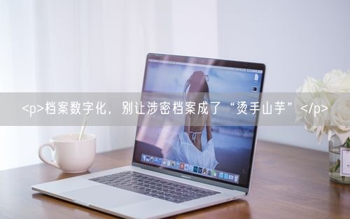 <p>档案数字化，别让涉密档案成了“烫手山芋”</p>