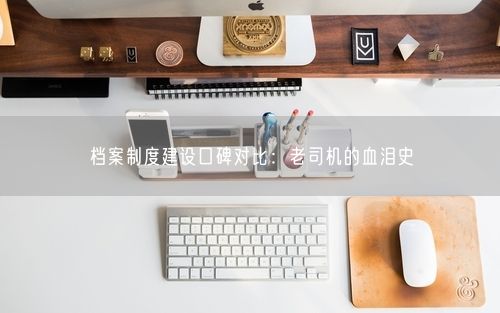 档案制度建设口碑对比：老司机的血泪史