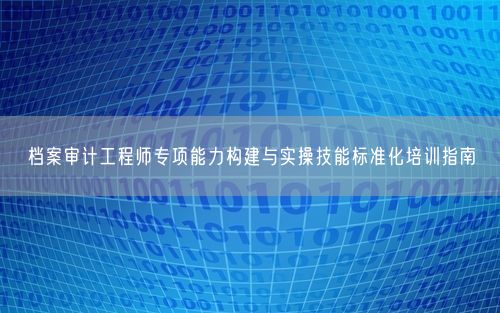 档案审计工程师专项能力构建与实操技能标准化培训指南