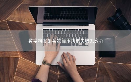 数字档案馆系统解压功能失败怎么办