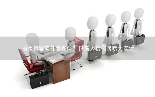 丽水档案软件哪家强？过来人给你唠唠大实话