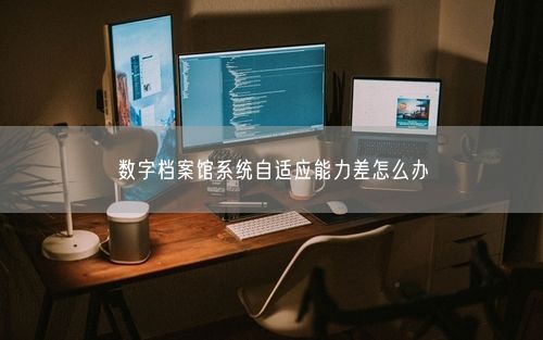 数字档案馆系统自适应能力差怎么办