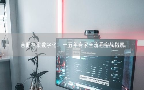合肥档案数字化：十五年专家全流程实战指南