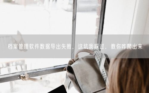 档案管理软件数据导出失败，这坑我踩过，教你咋爬出来