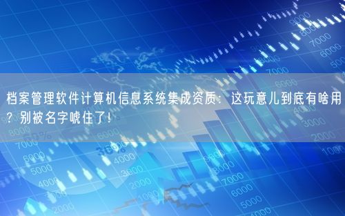 档案管理软件计算机信息系统集成资质：这玩意儿到底有啥用？别被名字唬住了！
