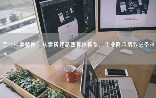 专业档案整理：从零搭建高效管理体系，企业降本增效必备指南