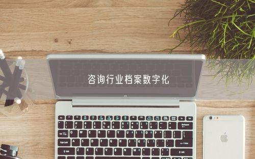 咨询行业档案数字化