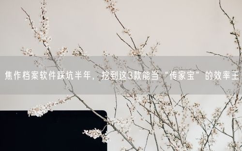 焦作档案软件踩坑半年，挖到这3款能当“传家宝”的效率王