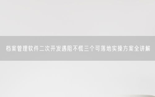 档案管理软件二次开发遇阻不慌三个可落地实操方案全讲解