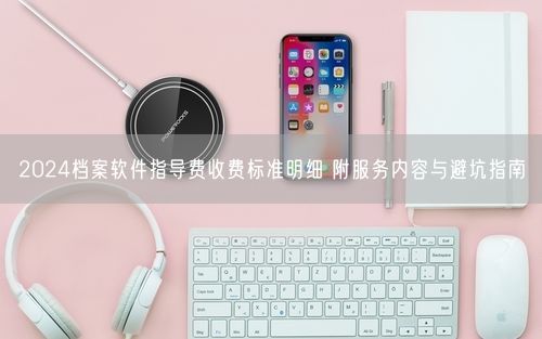 2024档案软件指导费收费标准明细 附服务内容与避坑指南