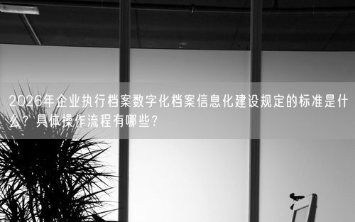 2026年企业执行档案数字化档案信息化建设规定的标准是什么？具体操作流程有哪些？
