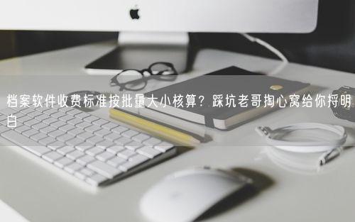 档案软件收费标准按批量大小核算？踩坑老哥掏心窝给你捋明白