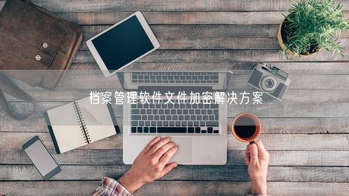 档案管理软件文件加密解决方案
